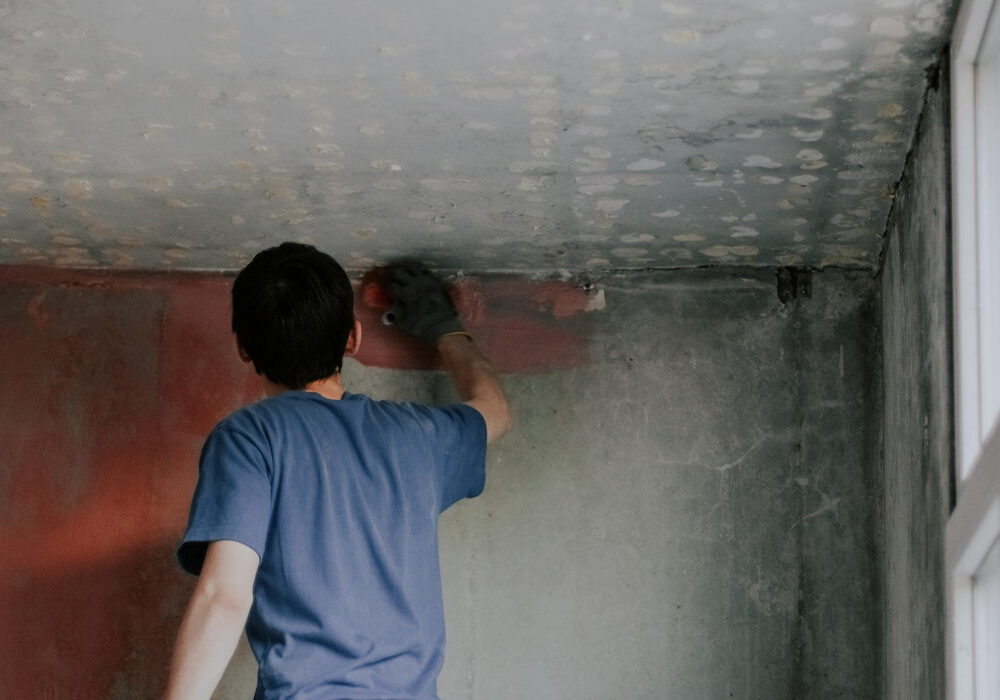 Infiltration d'eau par la toiture causes et que faire